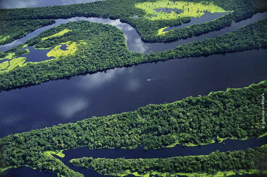 Fleuve Amazone et forêt Amazonienne: une richesse pour la biodiversité